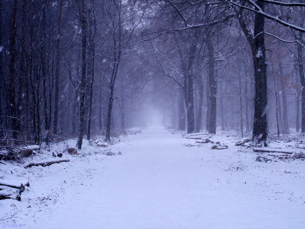 Страшный снег. Snow Wood. Snow Night Wood.