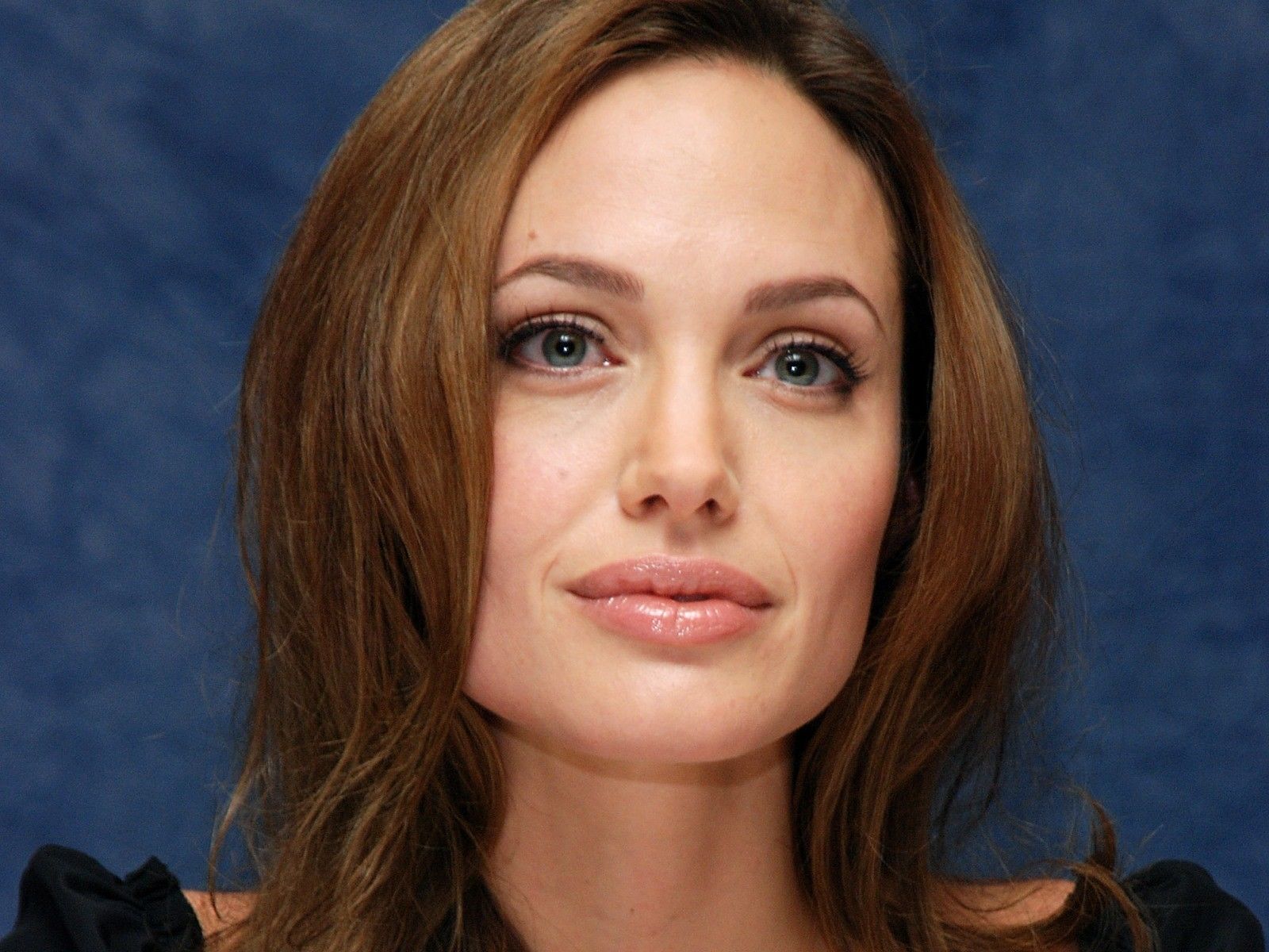 Самая известная картинка. Angelina Jolie. Анджелина Джоли 2009. Артистка Анджелина Джоли. Звезды Голливуда Анджелина Джоли.